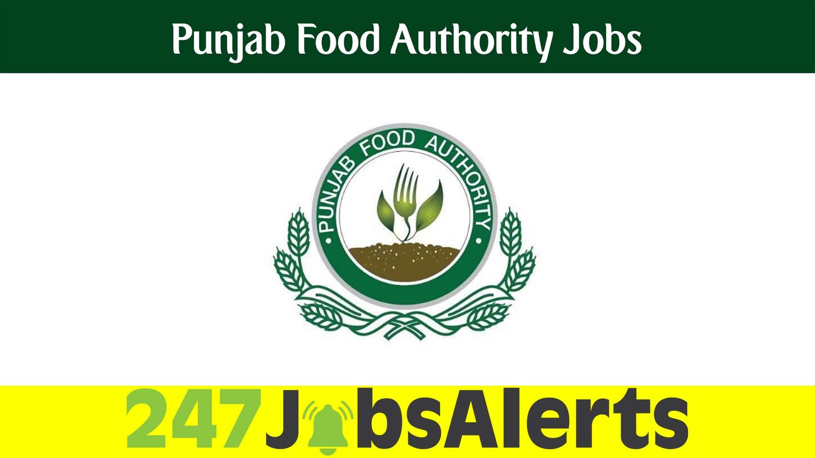 Punjab Food Authority Jobs