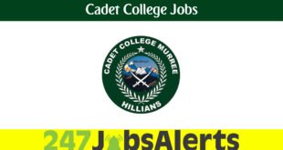 Cadet College Jobs